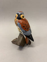 Load image into Gallery viewer, American Kestrel