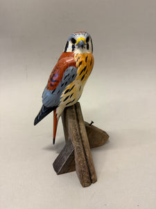 American Kestrel