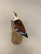 Load image into Gallery viewer, Ruddy Turnstone