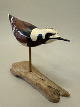 Load image into Gallery viewer, Ruddy Turnstone