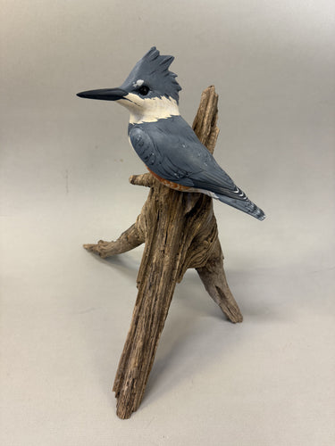 Belted Kingfisher (2/3 scale)