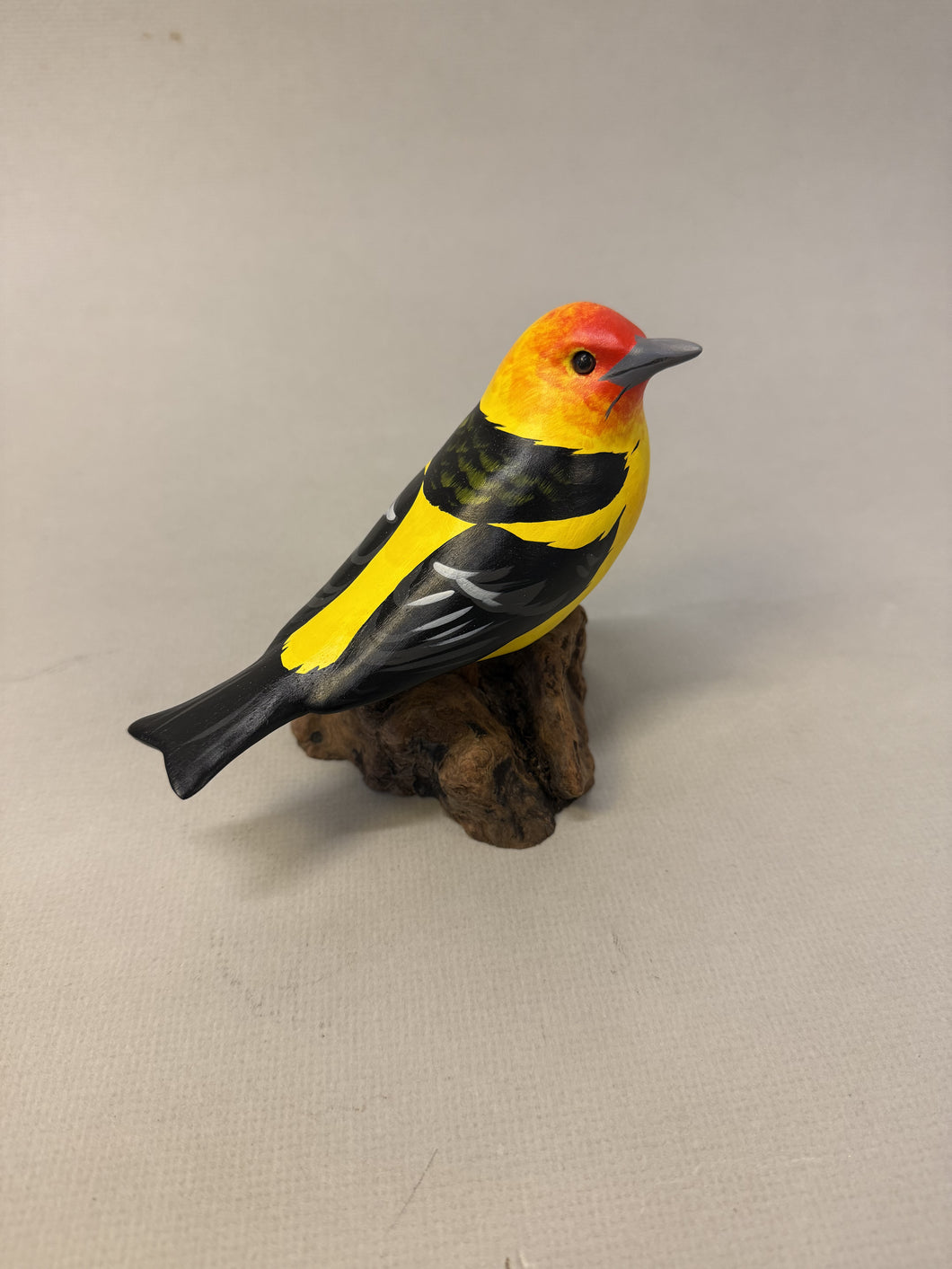 Western tanager