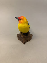 Load image into Gallery viewer, Western tanager