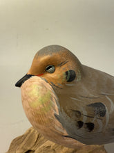 Load image into Gallery viewer, Mourning Dove (sleepy)