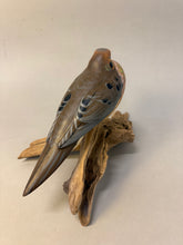 Load image into Gallery viewer, Mourning Dove (sleepy)