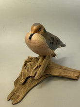 Load image into Gallery viewer, Mourning Dove (sleepy)