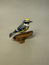 Load image into Gallery viewer, Yellow Rumped Warbler