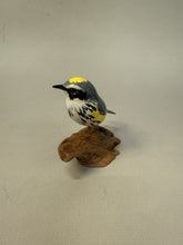 Load image into Gallery viewer, Yellow Rumped Warbler