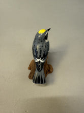 Load image into Gallery viewer, Yellow Rumped Warbler