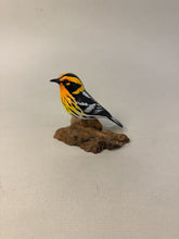 Load image into Gallery viewer, Blackburnian Warbler