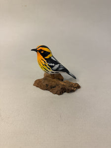 Blackburnian Warbler