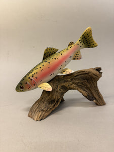 Rainbow Trout (small- 9 in)
