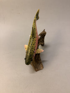 Rainbow Trout (small- 9 in)