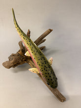 Load image into Gallery viewer, Rainbow Trout (large- 12 in)