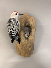 Load image into Gallery viewer, Red-bellied woodpecker pair (wall mount)