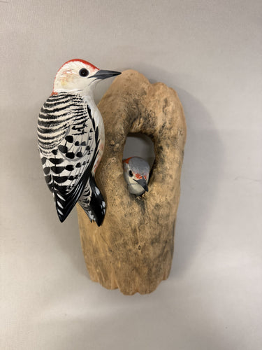 Red-bellied woodpecker pair (wall mount)