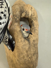 Load image into Gallery viewer, Red-bellied woodpecker pair (wall mount)