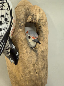 Red-bellied woodpecker pair (wall mount)