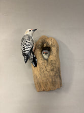 Load image into Gallery viewer, Red-bellied woodpecker pair (wall mount)