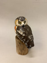 Load image into Gallery viewer, Saw-whet Owl