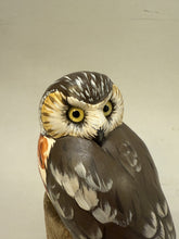 Load image into Gallery viewer, Saw-whet Owl