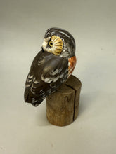 Load image into Gallery viewer, Saw-whet Owl