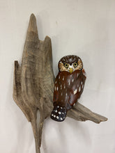 Load image into Gallery viewer, Pygmy Owl