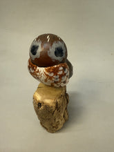 Load image into Gallery viewer, Pygmy Owl