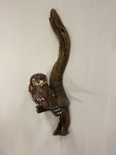 Load image into Gallery viewer, Pygmy Owl