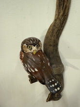 Load image into Gallery viewer, Pygmy Owl