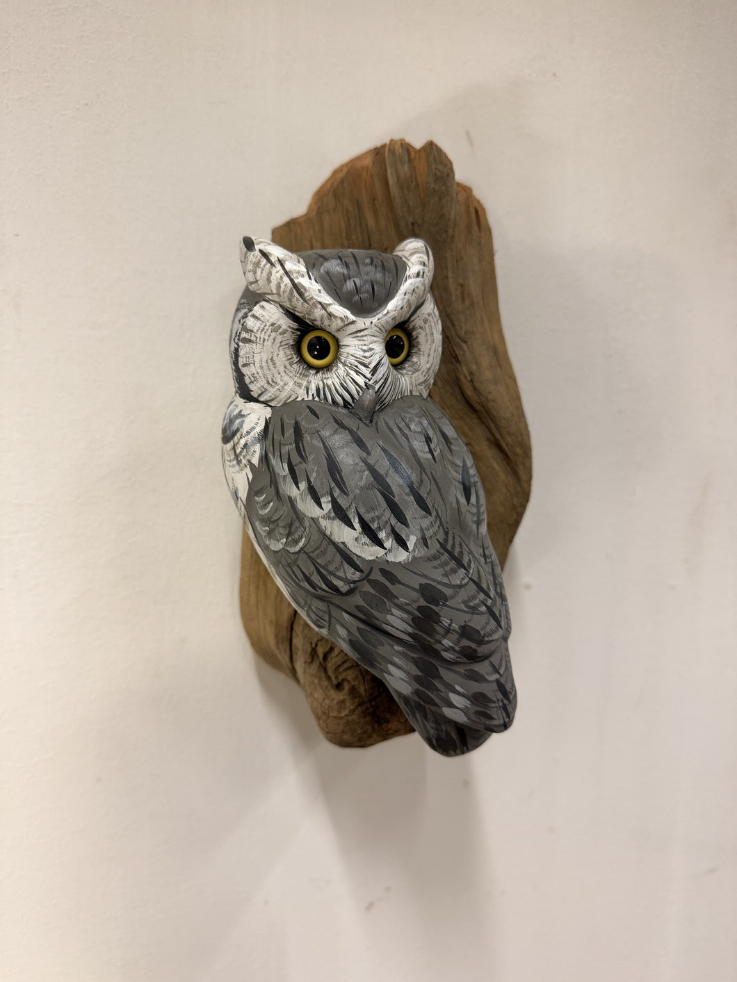 Screech Owl (Grey phase)