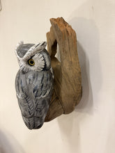 Load image into Gallery viewer, Screech Owl (Grey phase)