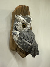 Load image into Gallery viewer, Screech Owl (Grey phase)