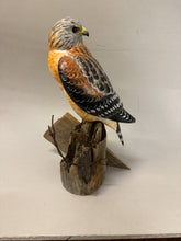 Load image into Gallery viewer, Red Shouldered Hawk