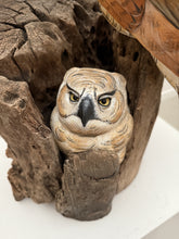 Load image into Gallery viewer, Great Horned Owl and Owlet.