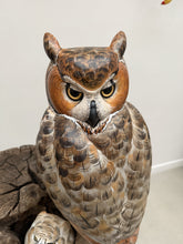 Load image into Gallery viewer, Great Horned Owl and Owlet.