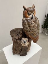 Load image into Gallery viewer, Great Horned Owl and Owlet.
