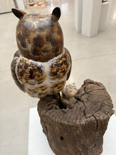 Load image into Gallery viewer, Great Horned Owl and Owlet.