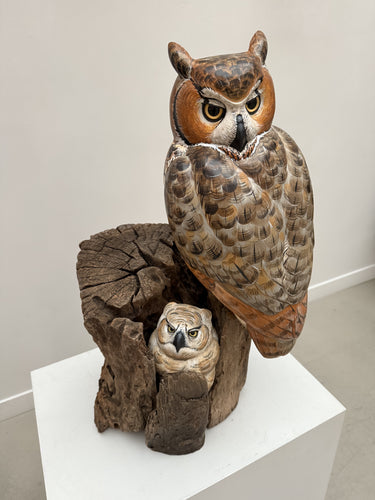 Great Horned Owl and Owlet.