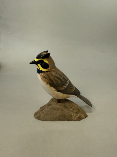 Horned lark
