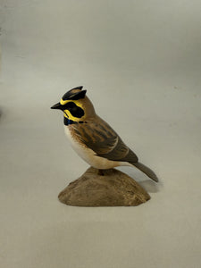 Horned lark