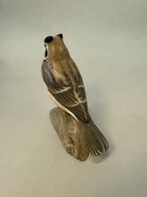 Load image into Gallery viewer, Horned lark