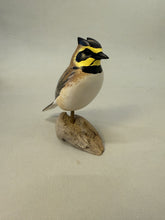Load image into Gallery viewer, Horned lark
