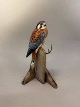 Load image into Gallery viewer, American Kestrel(smoothie)-video seminar