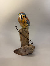 Load image into Gallery viewer, American Kestrel(smoothie)-video seminar