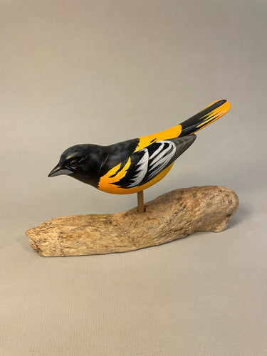 Oriole (Baltimore)