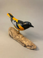 Load image into Gallery viewer, Oriole (Baltimore)