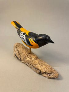 Oriole (Baltimore)