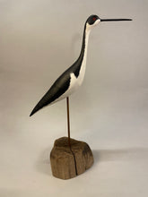 Load image into Gallery viewer, Black-necked Stilt