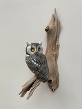 Load image into Gallery viewer, Screech Owl (Grey phase)